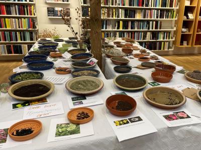 Frø i skåle på et bord.